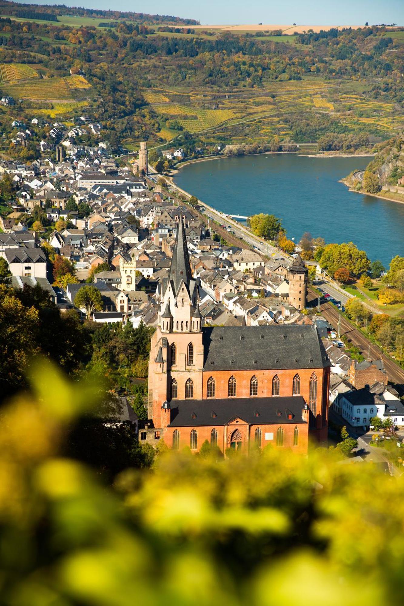Winzerhof Ross & Rose Hotel Trechtingshausen Екстериор снимка