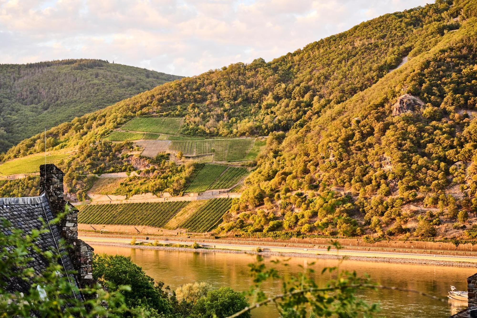 Winzerhof Ross & Rose Hotel Trechtingshausen Екстериор снимка